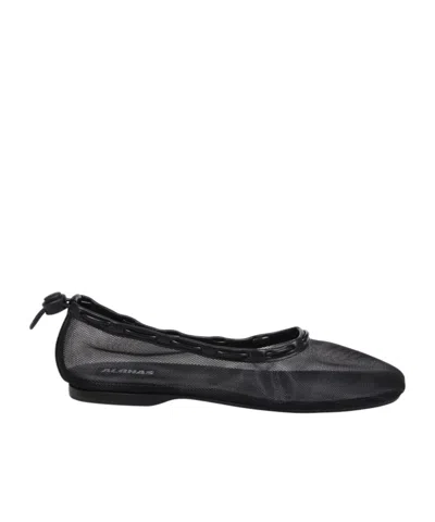 ALOHAS GILL BALLERINAS