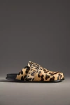 Alohas Halia Buckle Slip-on Mules In Brown