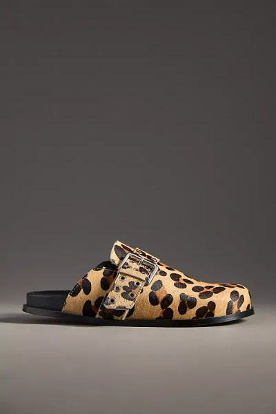 Alohas Halia Buckle Slip-on Mules In Brown