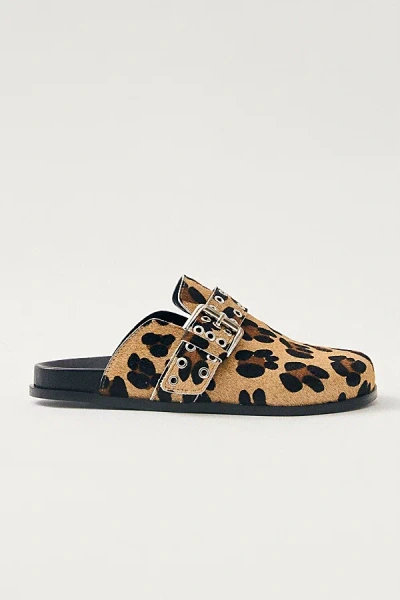 Alohas Halia Suede Clog In Soft Beige, Women's At Urban Outfitters In Leopard