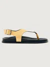 Alohas Harbor In Gold