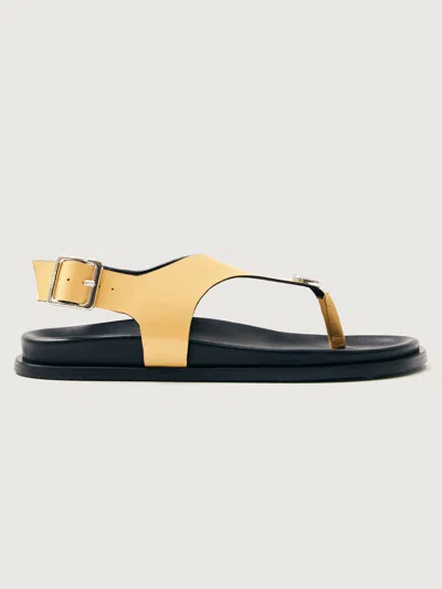 Alohas Harbor In Gold