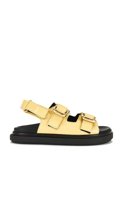 Alohas Harper Onix Sandals