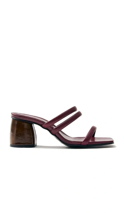 Alohas Indiana Sandal In Burgundy