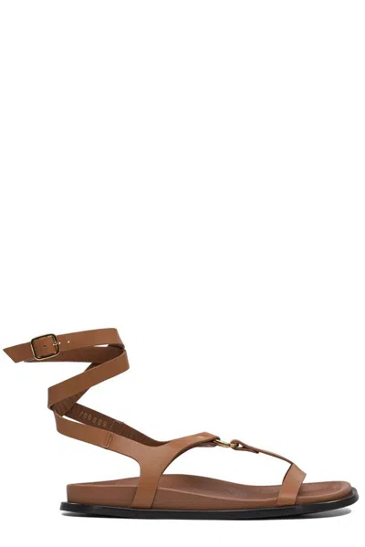 Alohas Sandals In Brown