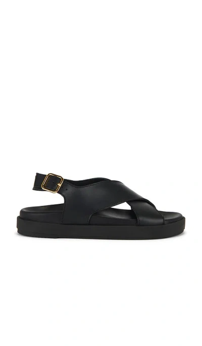 Alohas Nico Sandals In Black