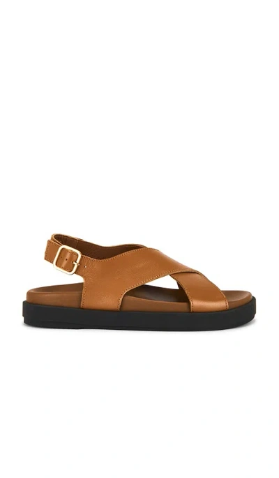 Alohas Nico Sandals In Brown