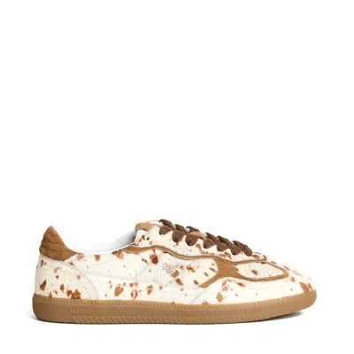 Alohas Tb. 490 Ponyskin Sneakers In Multi