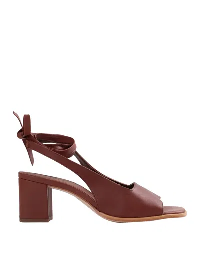 Alohas Sandals In Brown