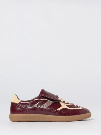 Alohas Tb.490 Club Patent Deep Burgundy Leather Sneakers In Brown