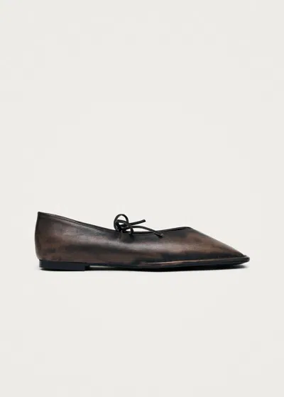 Alohas Square Toe Front Tie Ballet Flats - 0.5cm Heel In Marrone
