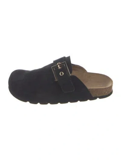 Pre-owned Alohas Suede Mules In Blue