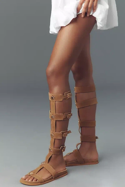 Alohas Surya Suede Gladiator Sandals In Beige