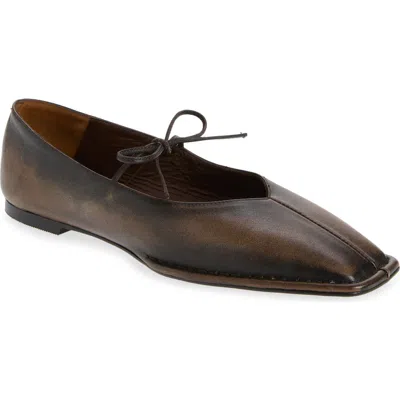 Alohas Sway Square Toe Ballet Flat In Brown