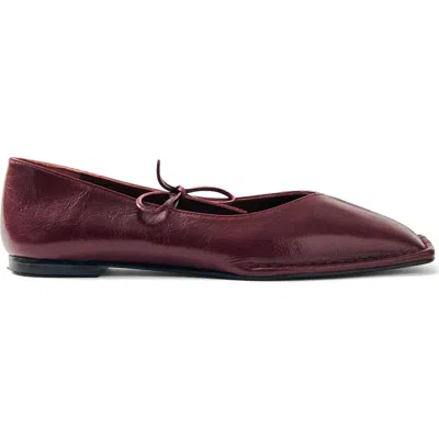 Alohas Sway Square Toe Ballet Flat In Burgundy