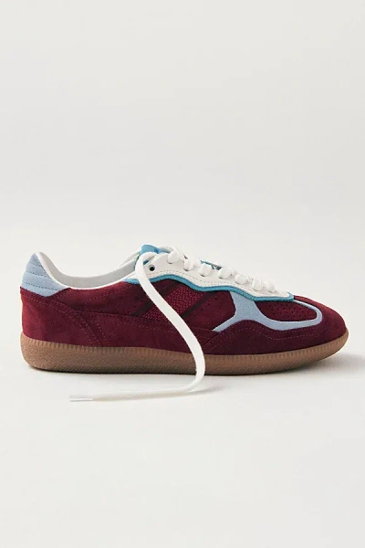 Alohas Tb. 490 Leather Sneakers In Rife Burgundy, Women's At Urban Outfitters