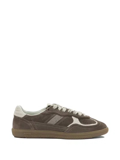Alohas Tb.490 Rife Taupe Leather Sneakers Shoes In Brown