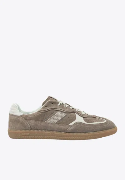 Alohas Tb.490 Rife Taupe Leather Sneakers Shoes In Brown