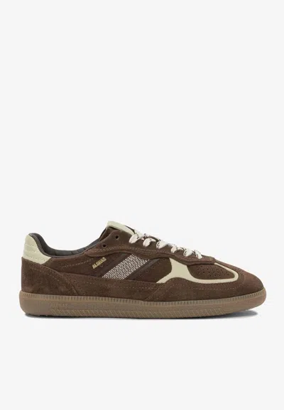 Alohas Tb 490 Rife Suede Low-top Sneakers In Brown