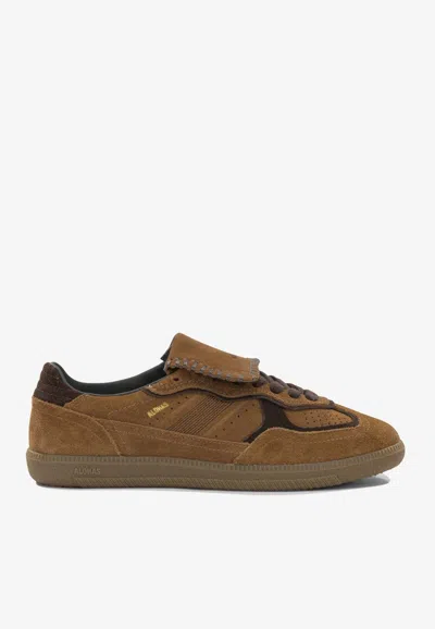 Alohas Tb 490 Suede Low-top Sneakers In Brown
