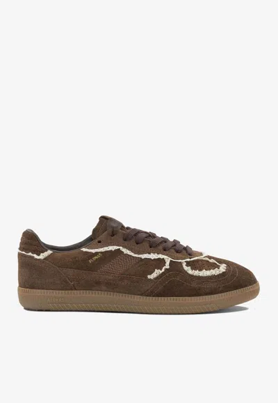 Alohas Tb 490 Suede Low-top Sneakers In Brown