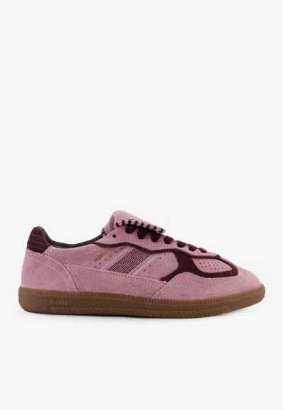 Alohas Tb 490 Suede Low-top Sneakers In Pink