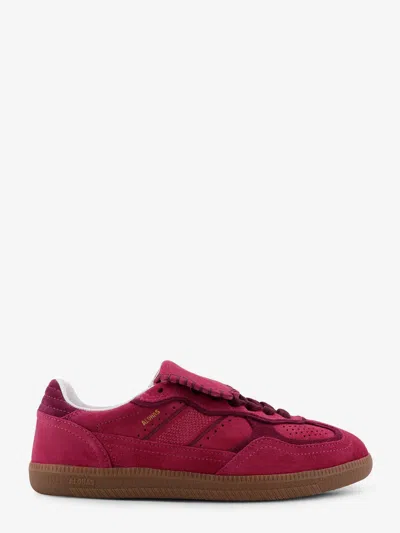 Alohas Tb. 490 Suede Sneakers In Pink