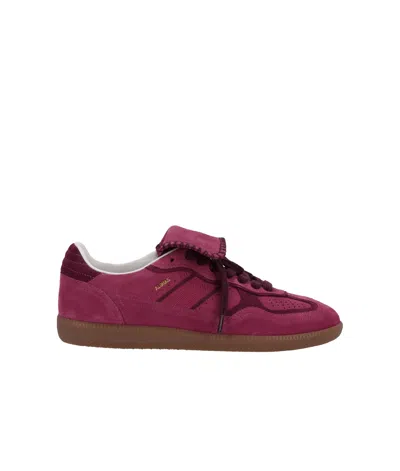 Alohas Tb.490 Club Leather Sneakers In Pink