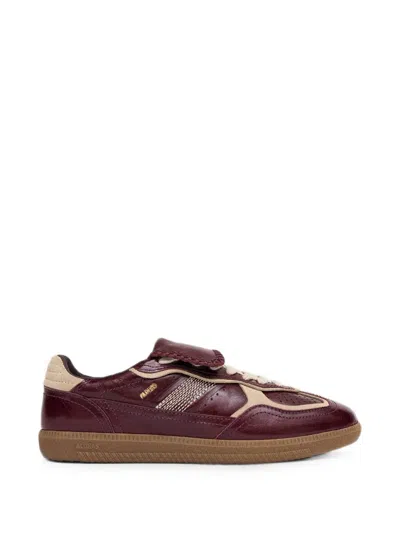 Alohas Tb.490 Club Patent Deep Burgundy Leather Sneakers Altezza Tacco In Brown