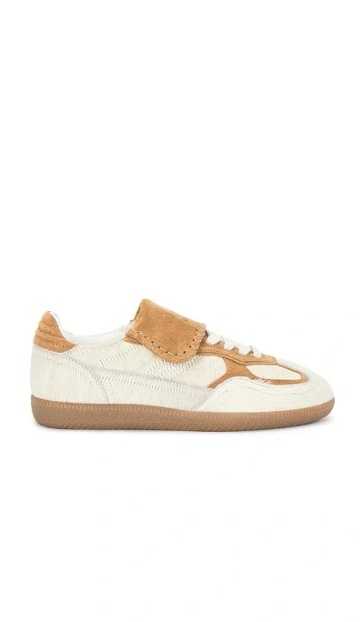 Alohas Tb.490 Club Sneaker In Brown