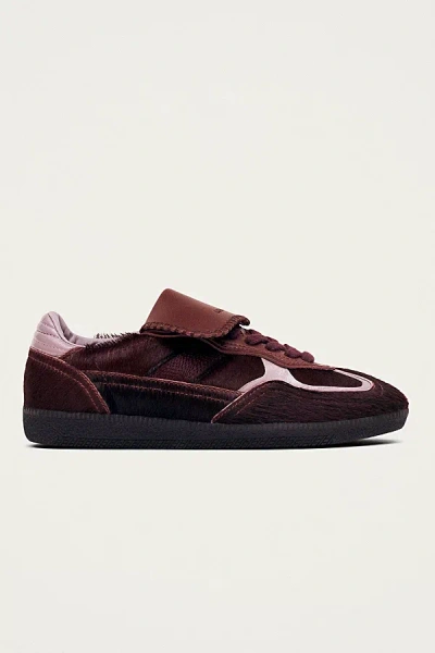 Alohas Tb.490 Club Sneaker In Burgundy, Women's At Urban Outfitters In Burgundy