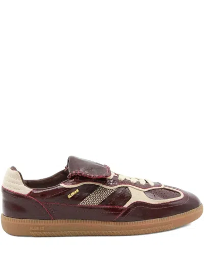 Alohas Tb.490 Club Patent Deep Burgundy Leather Sneakers In Brown