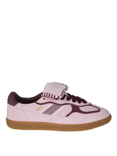 Alohas Tb.490 Club Suede Pink Leather Sneakers Altezza Tacco 2 Cm In Multi