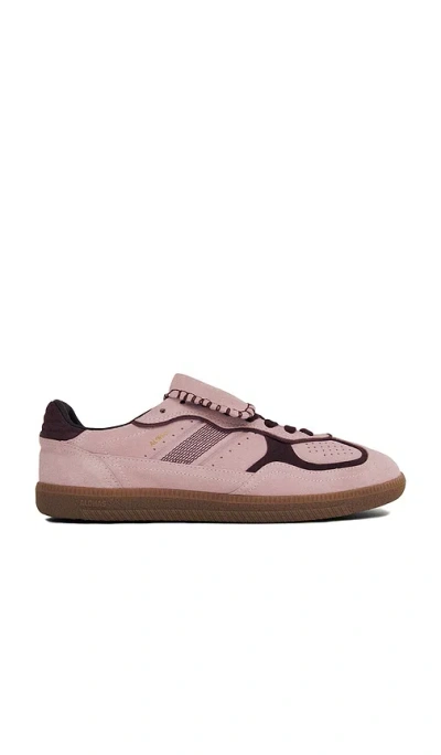 Alohas Tb.490 Club Suede Pink Leather Sneakers Altezza Tacco 2 Cm In Multi