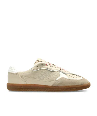 Alohas Tb.490 Panelled Leather Sneakers In Multi
