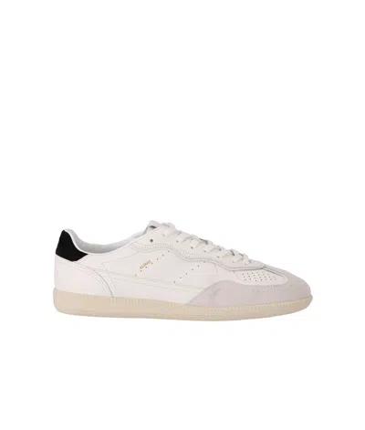 Alohas Tb.490 Leather Sneakers In Black