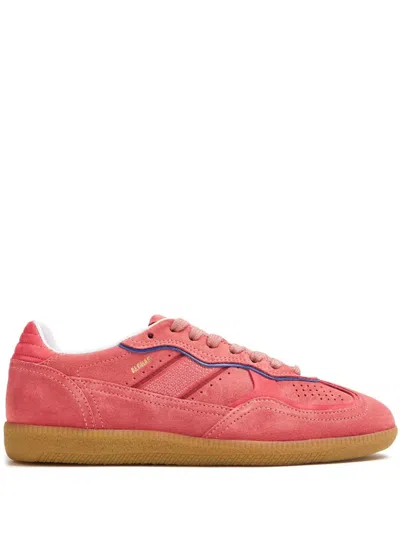 ALOHAS TB.490 LOW-TOP SUEDE SNEAKERS