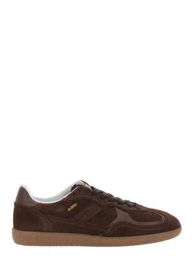 Alohas Tb.490 Rife Chocolate Brown Leather Sneakers In Burgundy