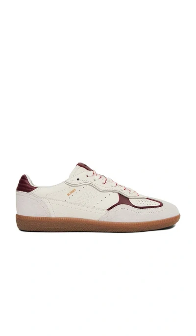 Alohas Tb.490 Rife Grain Sneaker In White