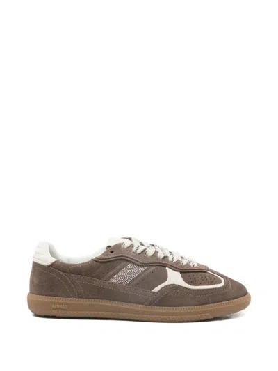 Alohas Tb.490 Rife Taupe Leather Sneakers Shoes In Brown