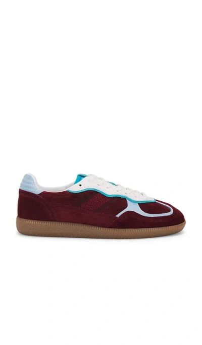 Alohas Tb.490 Rife Sneaker In 葡萄酒色