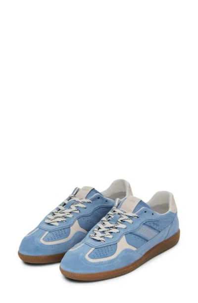 Alohas Light Blue Suede Sneakers With Cream Accents And Contrast Details