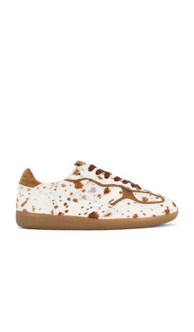 Alohas Tb.490 Rife Sneaker In Brown