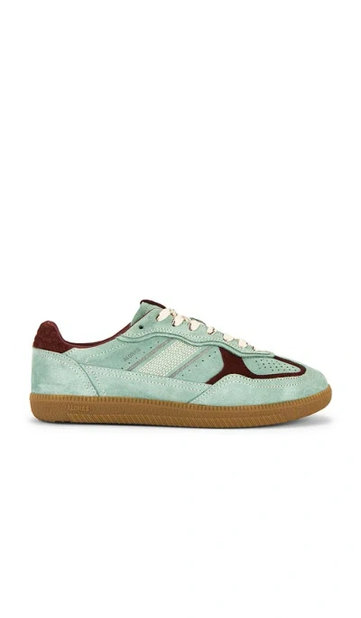 Alohas Tb.490 Rife Sneaker In Green