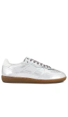 Alohas Rife Leather Lace-up Sneakers In Shimmer Silver