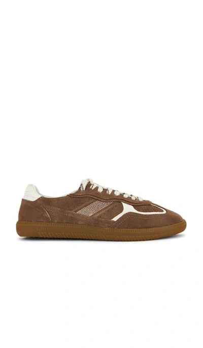 Alohas Tb.490 Sneaker In Brown