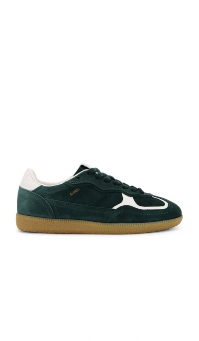 ALOHAS TB.490 SNEAKER