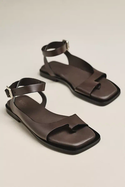 Alohas Tebas Ankle-strap Sandals In Brown