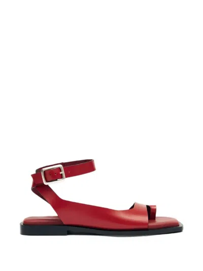 Alohas Tebas Buckle-fastening Toe-strap Flat Sandals In Red