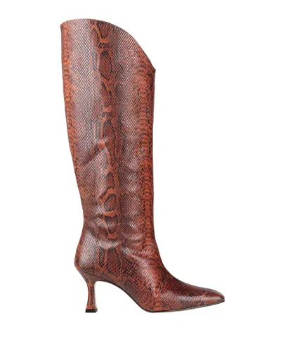 Alohas Knee Boots In Brown